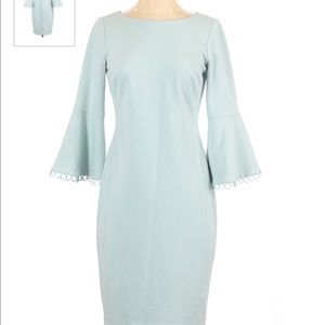 Calvin Klein Bell Sleeve Mint Green Sheath Dress 6